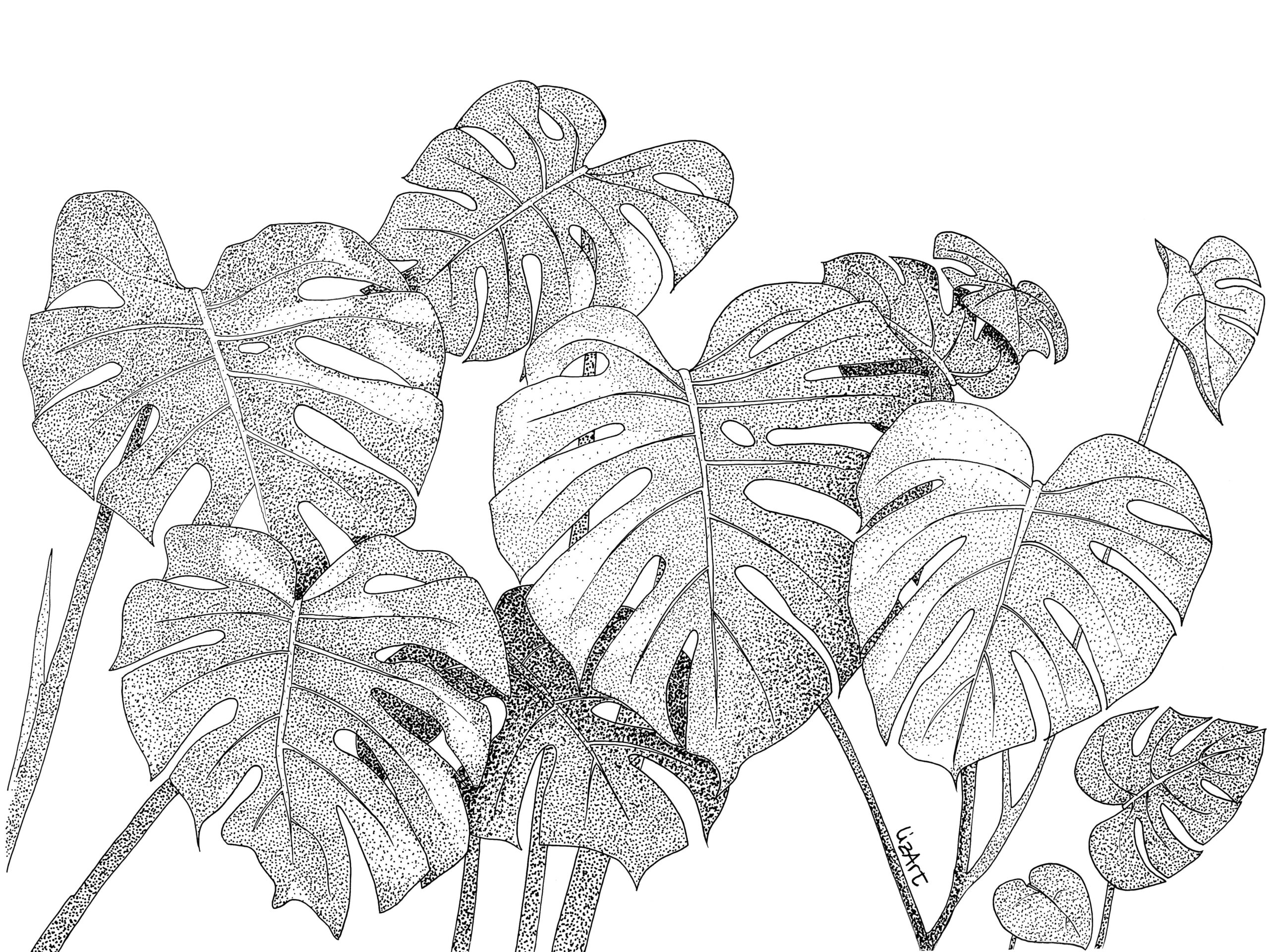 Illustrazione che ritrae una monstera realizzata con dot work